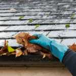 cleaning guttering of dead leaves